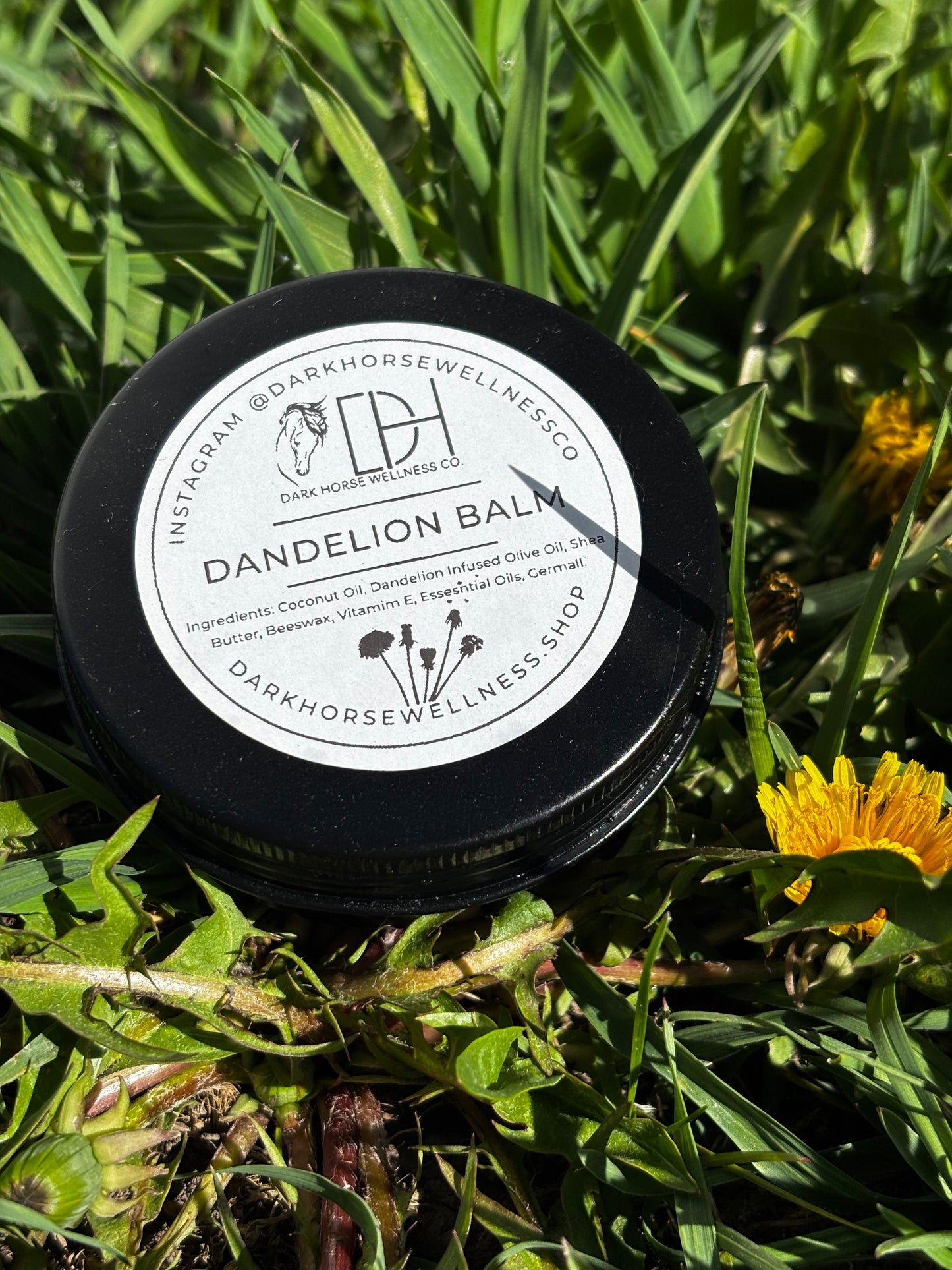 Dandelion Balm